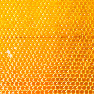 honeycomb