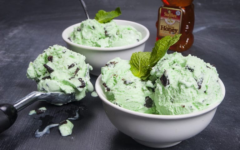 Mint Chocolate Chip Frozen Yogurt Sioux Honey Association Co Op 5061