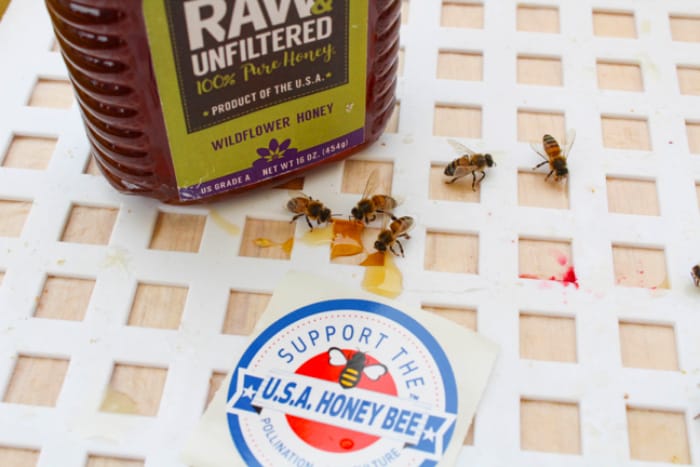 Family Fun in Sunny Southern California - Sioux Honey Association Co-Op