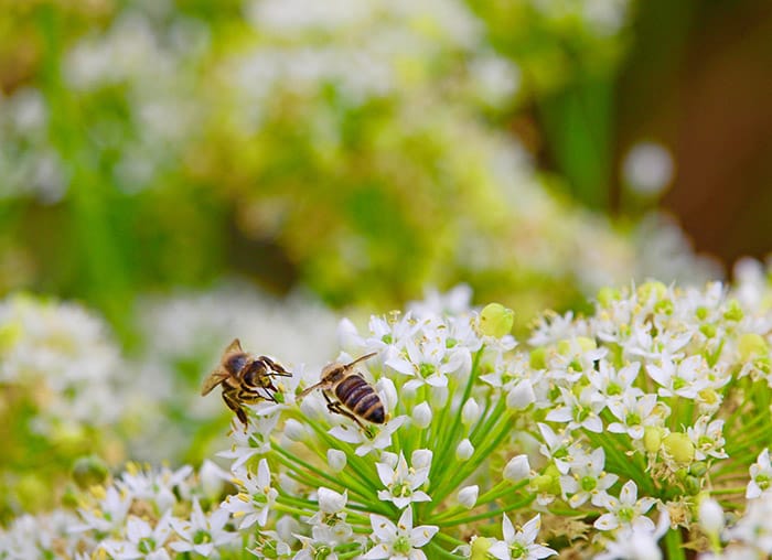 We know where our honey comes from … by name.You Might Also Be Interested In