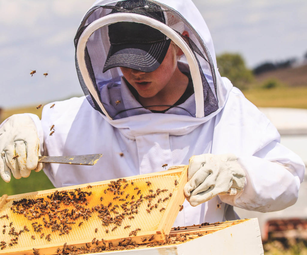 Tucker Olsen, 11-year-old beekeeper