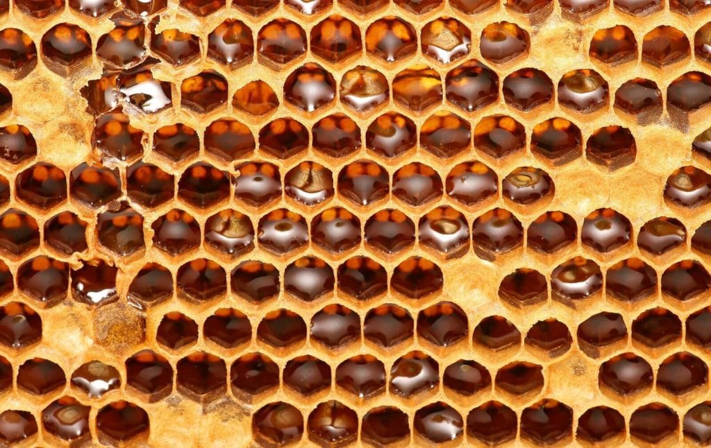 Photo of a honeycomb 