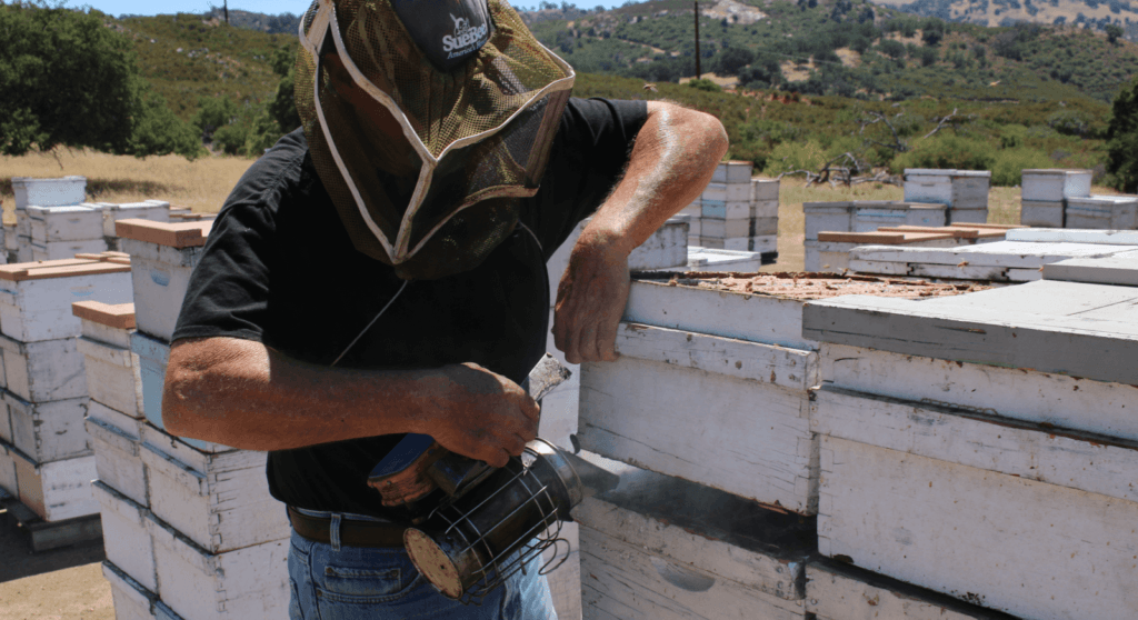 Photo of beekeeper Jim Oakley