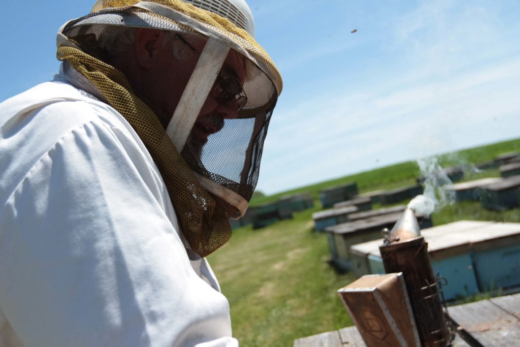 Photo of beekeeper Darrel Rufer inspecting a bee hive.